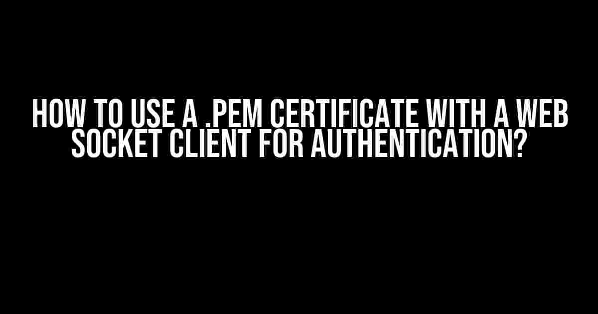 How to Use a .pem Certificate with a Web Socket Client for Authentication?